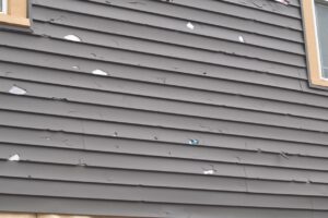 chipped vinyl siding